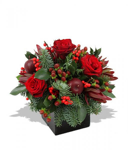 Crimson and Pine