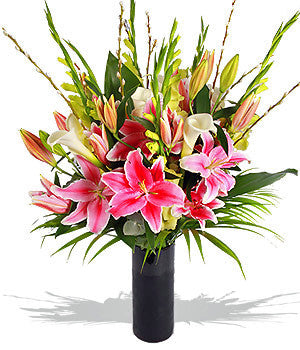 Lily Explosion
