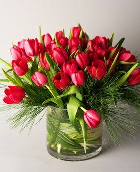 Tulips in Love