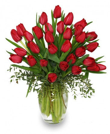 Ravishing Tulips