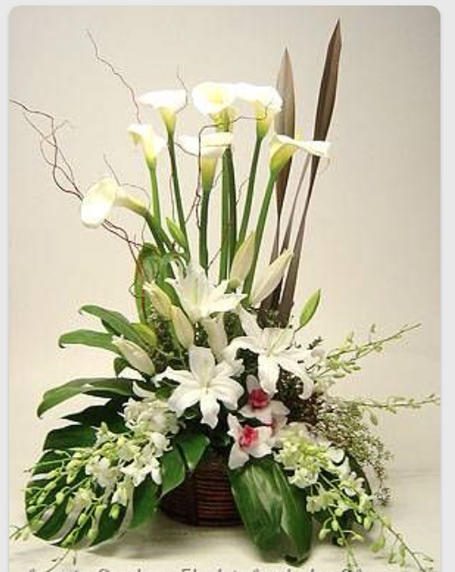 Dream Lilies