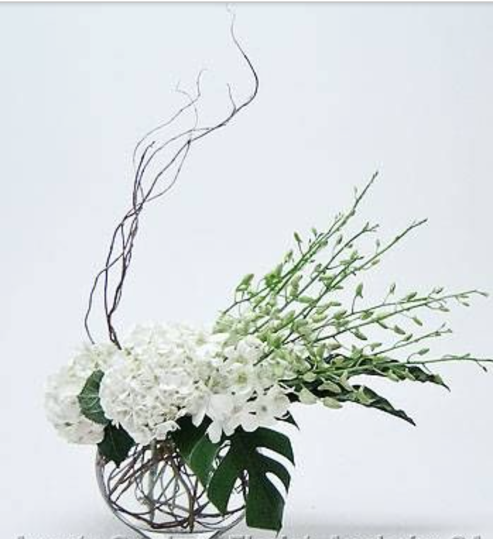 Trendy White Blooms