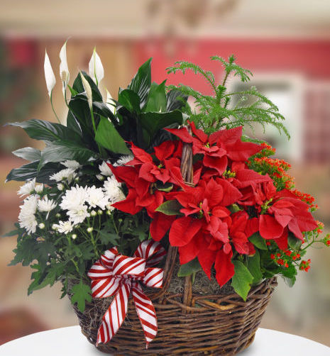 Christmas Basket