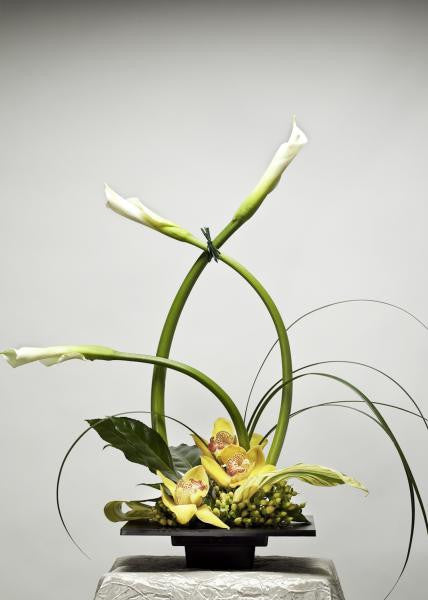 Green Elegance
