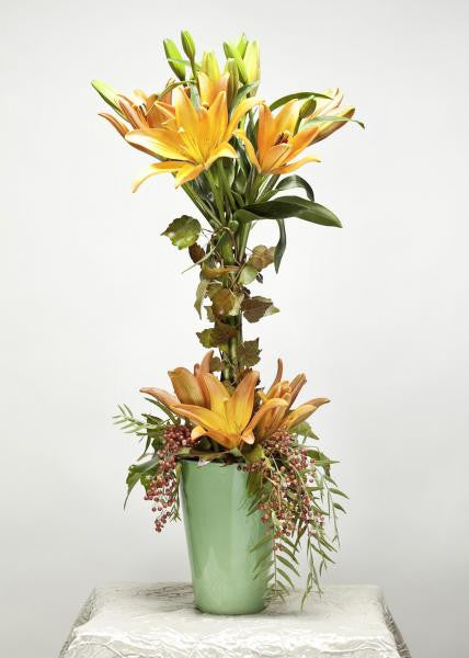 Tigerlily Topiary
