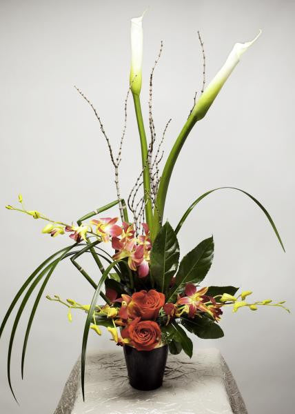 Calla Lily Celebration