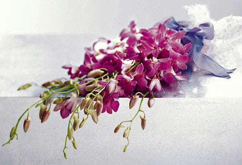 Wrapped Orchid Bouquet