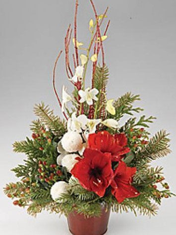 Joyful Season