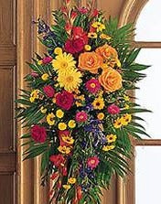 Vibrant Life Standing Spray