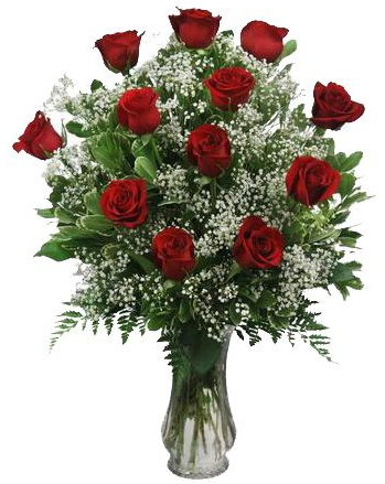 One Dozen Red Roses