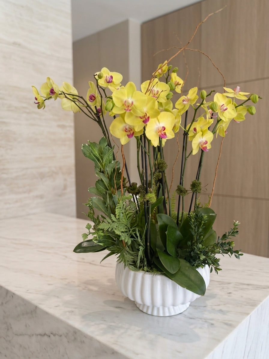 [ORD-02] Yellow Orchid Plant