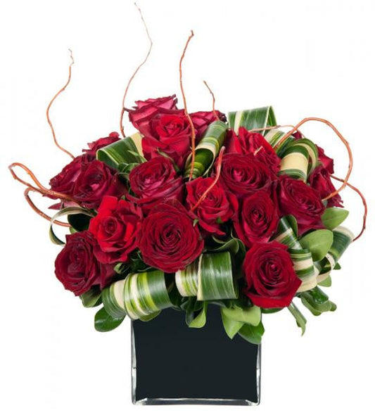Regal Red