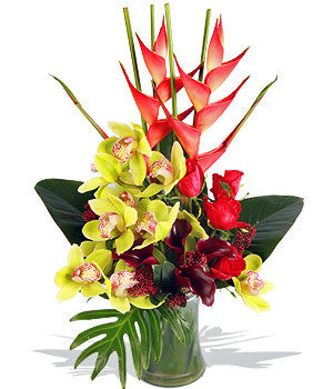 Tropical Fantasy