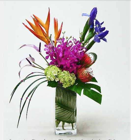 Tropical Vibrance