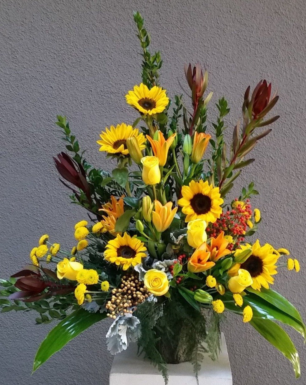 Sunflower Compassion