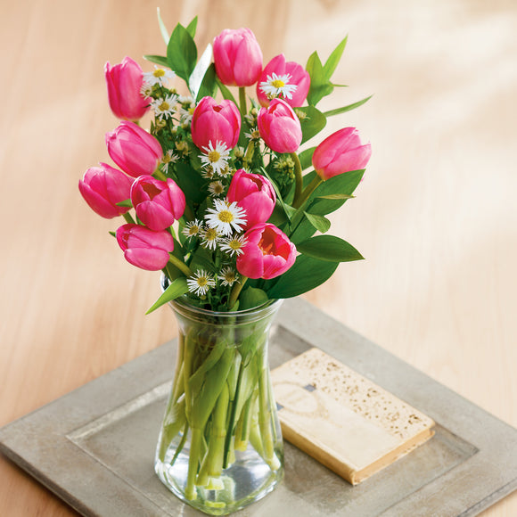 Sweet Pink Tulips