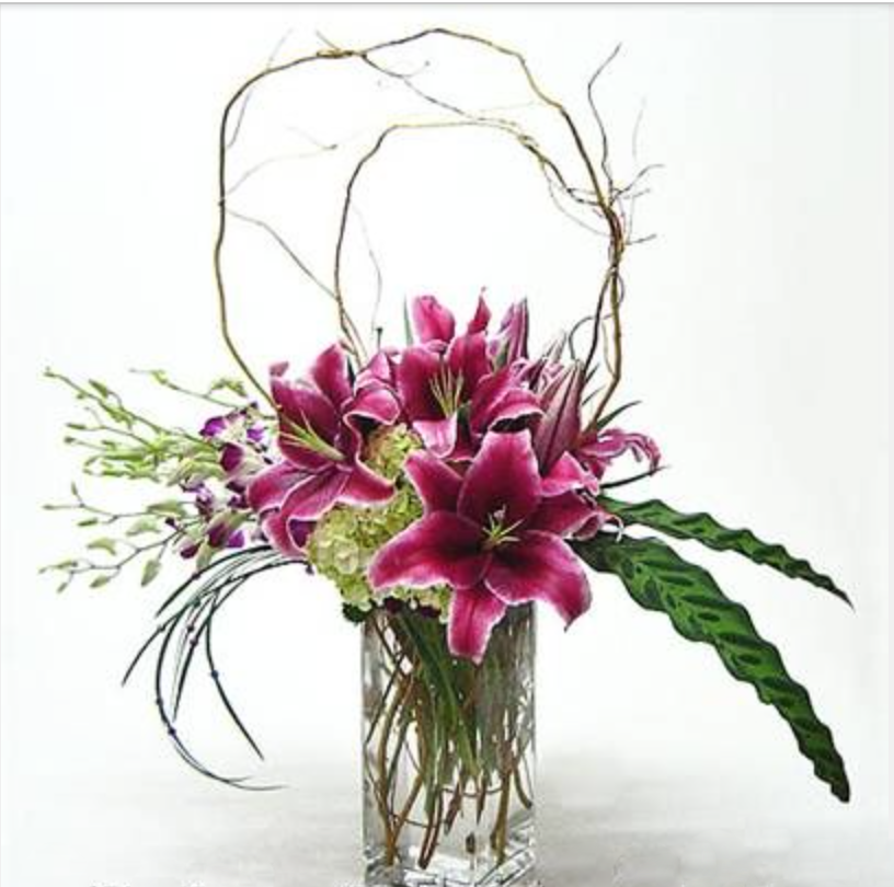 Enchanted Lilies