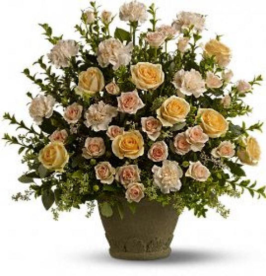 Rosy Remembrance