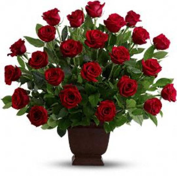 Red Rose Tribute