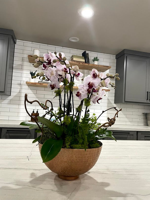 [OPA-7] Orchid Arrangement