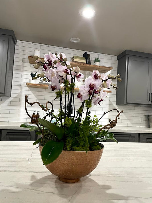 [OPA-7] Orchid Arrangement