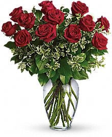 One Dozen Red Roses