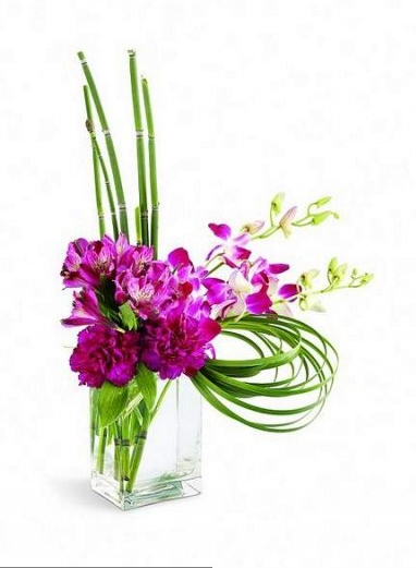 Fuchsia Delight