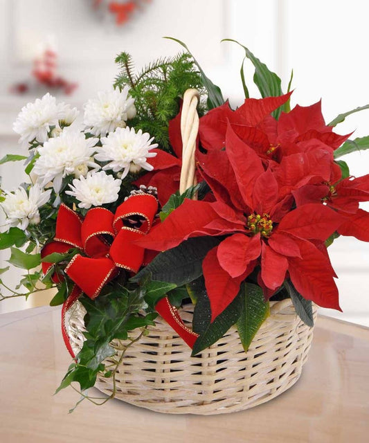 Poinsettia Gift Basket